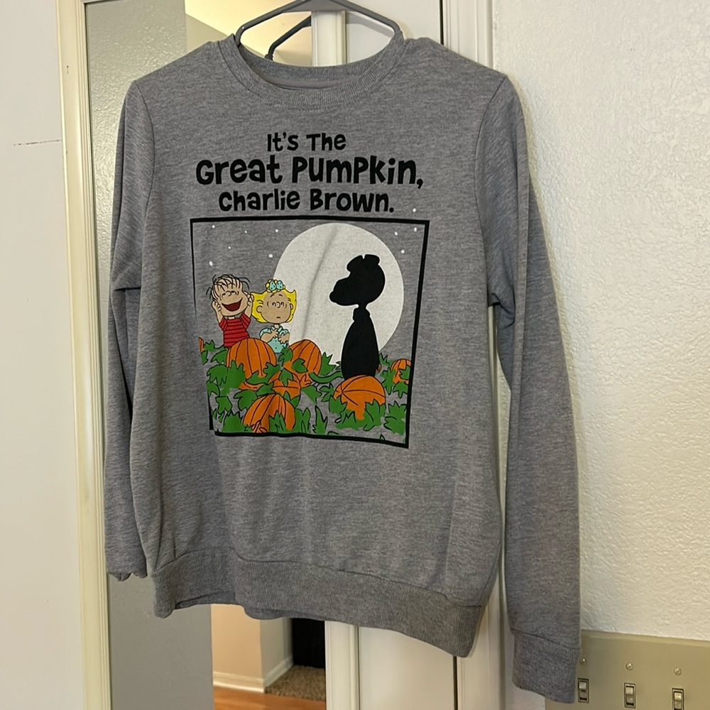Peanuts “It’s The Great Pumpkin Charlie Brown” gray crewneck sweatshirt